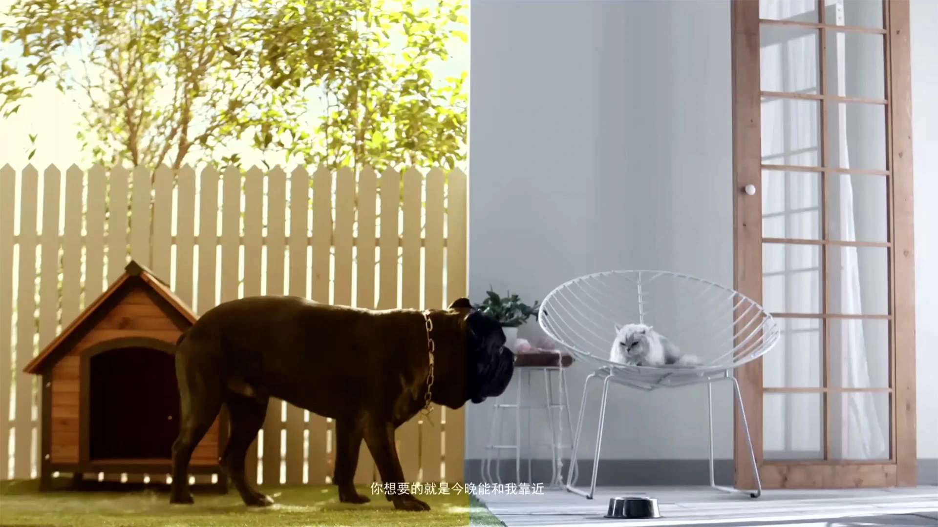 Project work image for Mazda Axela TV Commercial : Pet scene