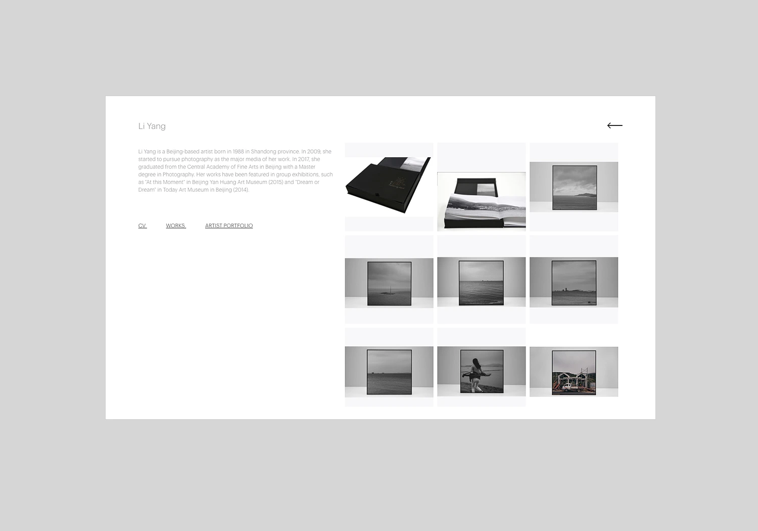 Project work image for Artplus : Artist Individual