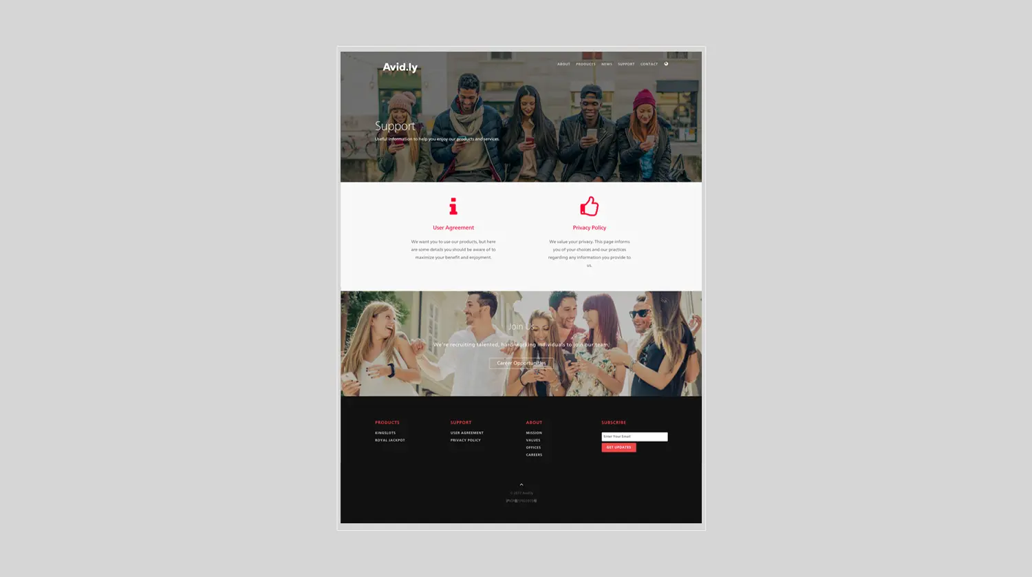 Project work image for Avidly : Support Pages 