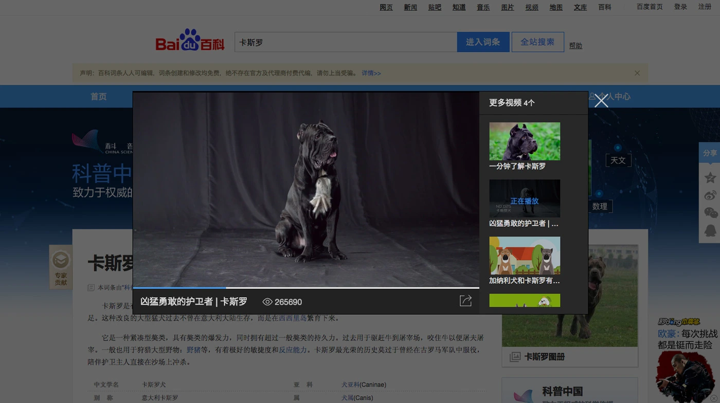 Project work image for Baidu : The Page